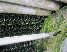 Cách diệt sạch rong rêu trong hệ thống tháp giải nhiệt nước