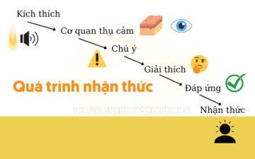 nhận thức là gì