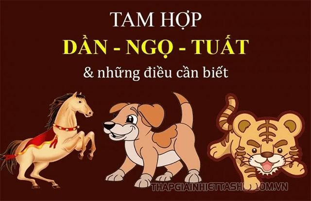 tam-hop-tuoi-ngo