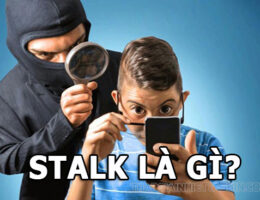 Stalk là gì? Tổng hợp những thông tin bạn chưa biết