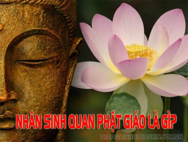 Nhân sinh quan Phật Giáo có ý nghĩa như thế nào?