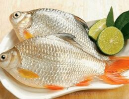 Ăn cá mè có tốt không? Nấu gì ngon? TOP 5 món ăn ngon nhất từ cá mè