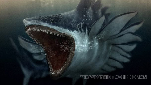 Cá mập khổng lồ Megalodon xuất hiện ở rãnh Mariana