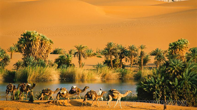Sông Nile chảy qua sa mạc Sahara tạo nên ốc đảo huyền bí